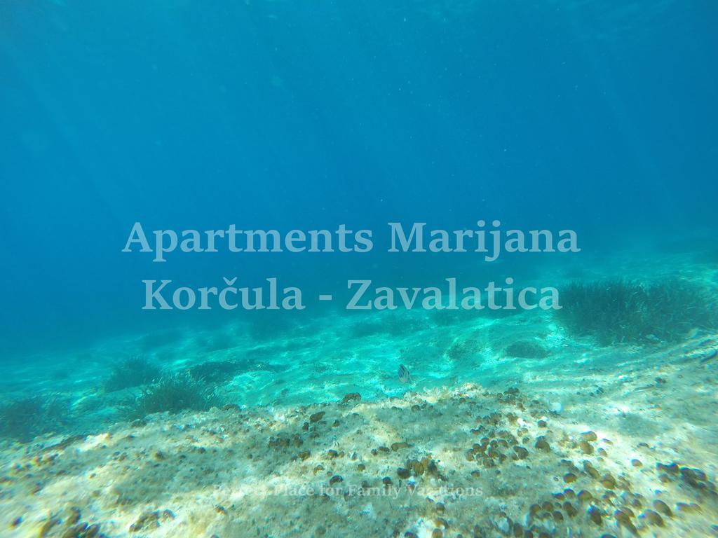 Apartments Marijana Zavalatica Esterno foto